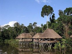 India�ska osada w dorzeczu Amazonki